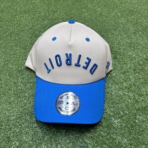 Detroit Lions Hat Mens Snapback Upside Down Print Football NFL NEW